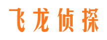 平原婚外情调查